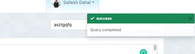 Elephant SQL Query Success