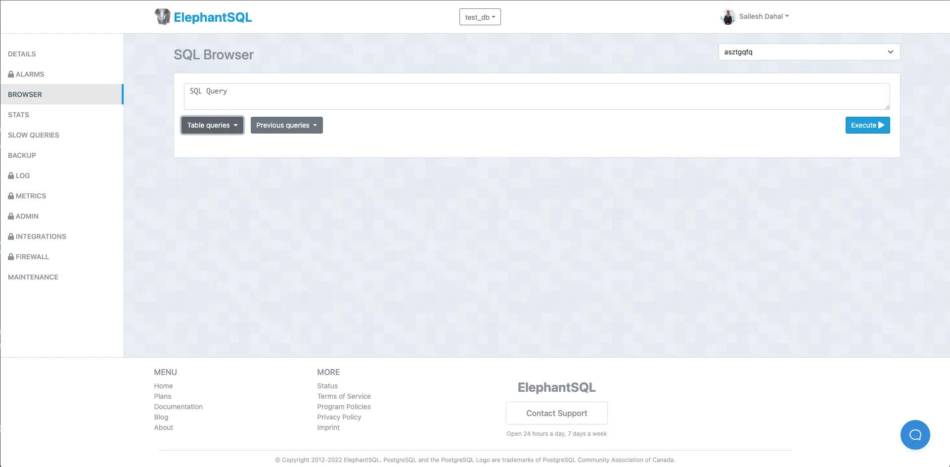 Elephant SQL Query Execution
